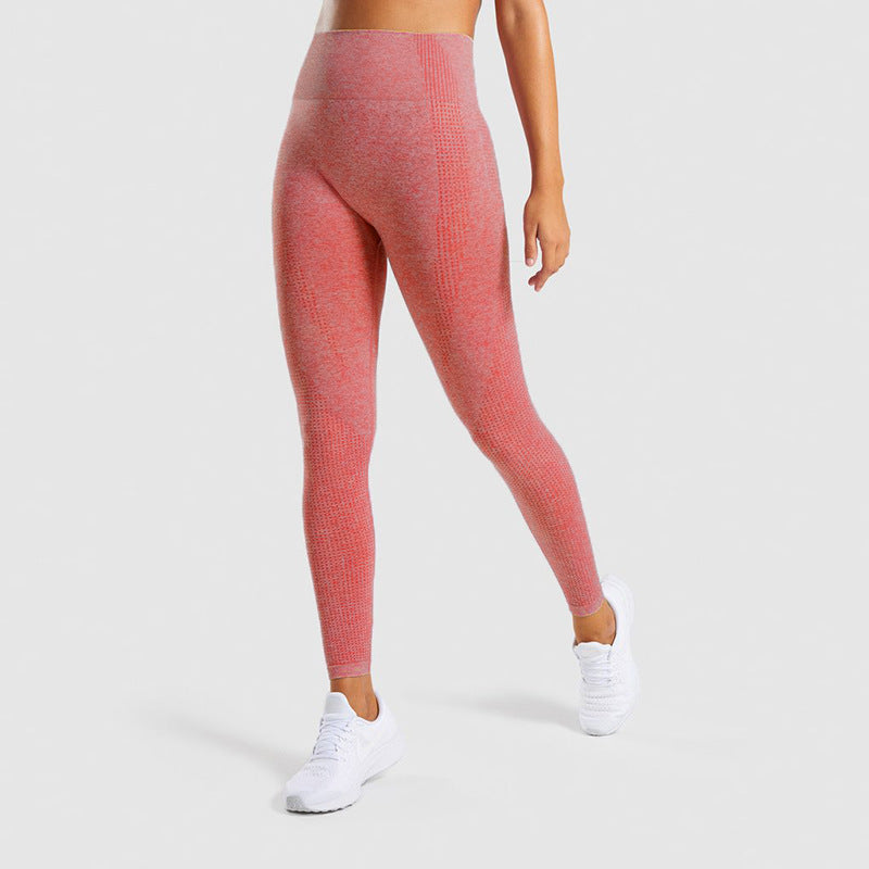 Femenza™ Seamless Jacquard Gym Pants